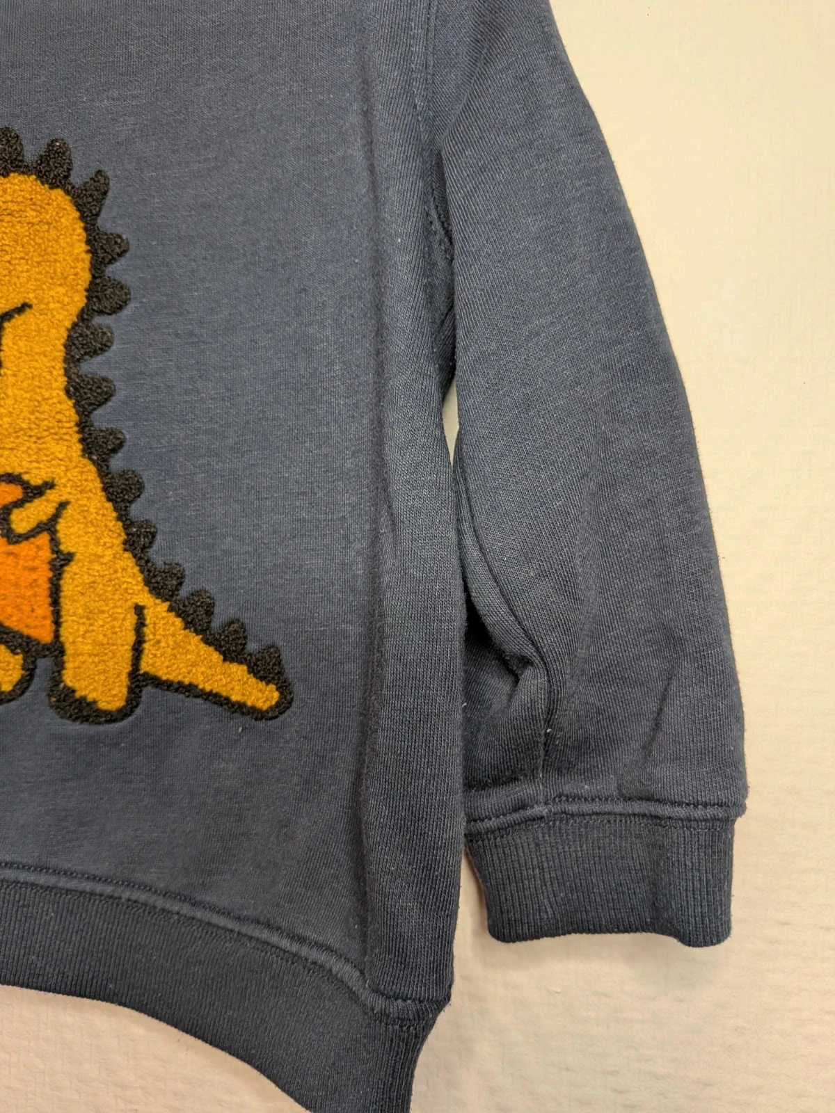 Sudadera dinosaurio – photo 3